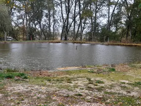 Eladó gazdasági ingatlan, Dunakeszi 25693 m² 290 M Ft