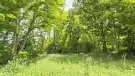 Tolna megye - Györköny