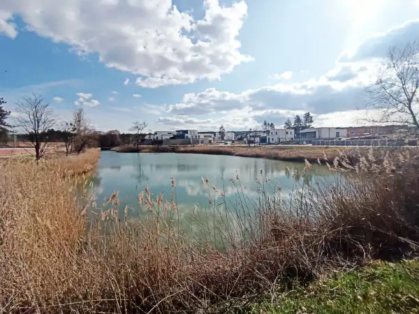 Eladó új építésű családi ház, Mogyoród 5 szoba 229 m² 225 M Ft