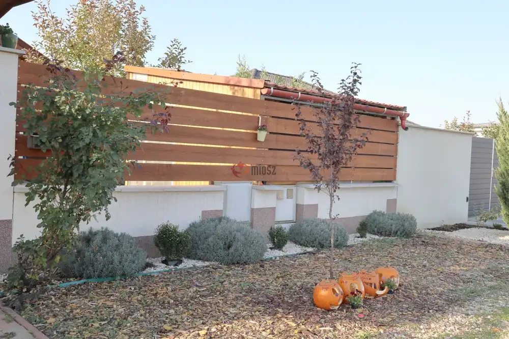 Csongrád megye - Szeged