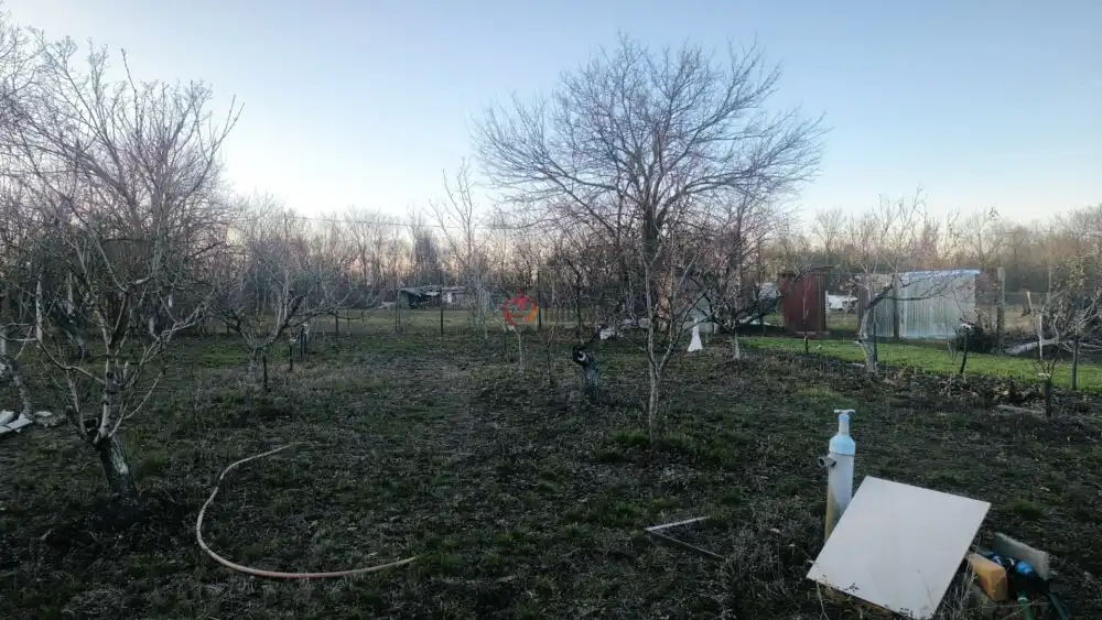 Csongrád megye - Újszentiván