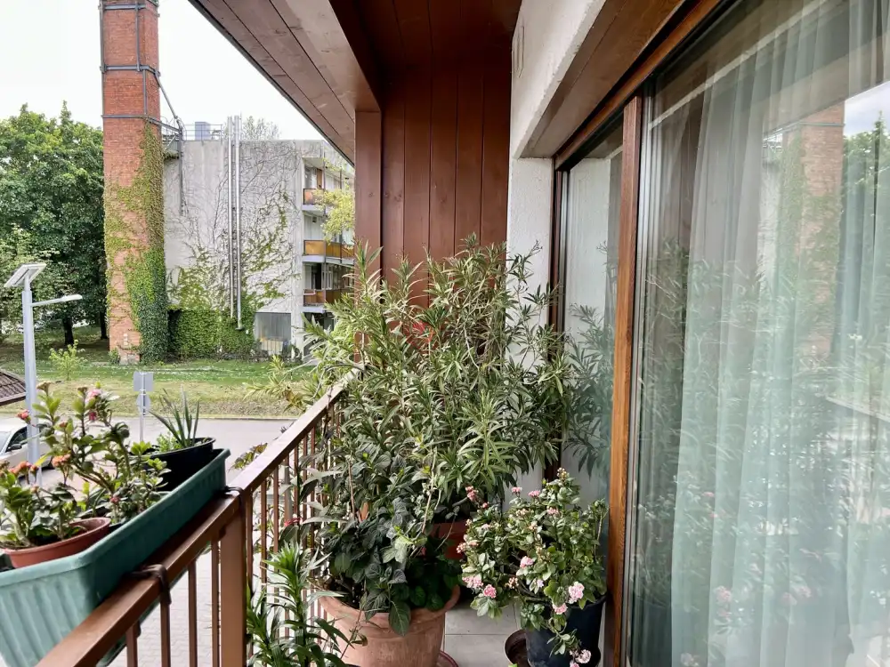 Fejér megye - Gárdony